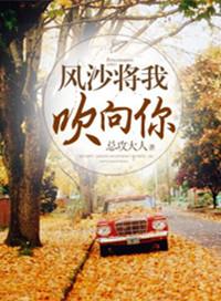 风沙将我吹向你