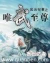 风云纪事之唯武至尊