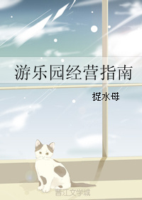 游乐园经营指南