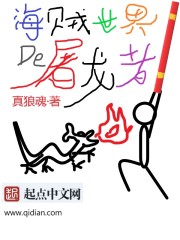 海贼世界的屠龙者