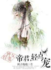 神女悍妻：帝君，轻点宠