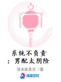系统不负责：男配太阴险