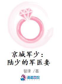 京城军少：陆少的军医妻