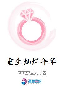 重生灿烂年华