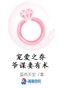 宠爱之乔爷谋妻有术