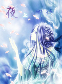 夜之明珠