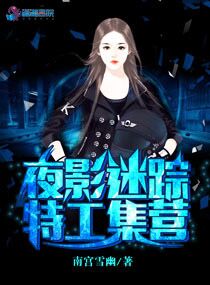 夜影迷踪特工集营