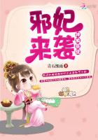 神偷系统，邪妃来袭