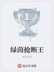 绿茵抢断王