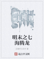 明末之七海腾龙