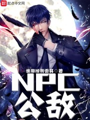 NPC公敌