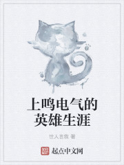 上鸣电气的英雄生涯