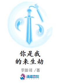 你是我的来生劫