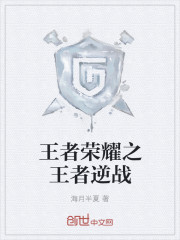 王者荣耀之王者逆战