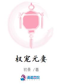 权宠元妻