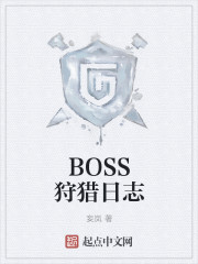 BOSS狩猎日志