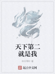 天下第二就是我