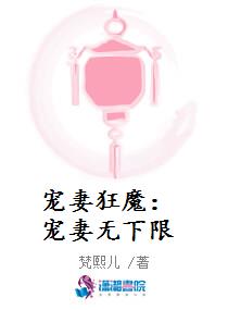 宠妻狂魔：宠妻无下限