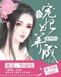 小宠妃养成2.0：邪王，你站住