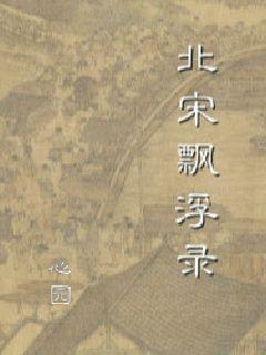 北宋飘浮录