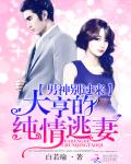 男神别过来：大亨的纯情逃妻
