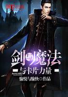 剑与魔法与卡片力量