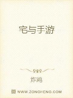 宅与手游