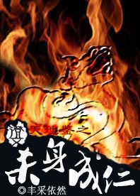 天地鉴之杀身成仁