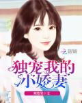 独宠我的小娇妻