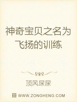 神奇宝贝之飞扬