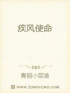 疾风使命