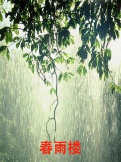 春雨楼