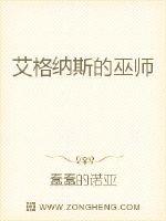 艾格纳斯的巫师