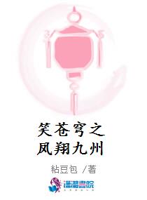 笑苍穹之凤翔九州