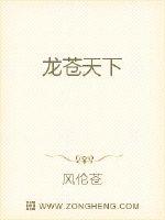 龙苍天下