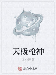 天极枪神
