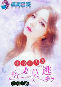 夜少心尖宠：痞妻莫逃