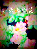 小米上的花