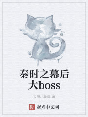 秦时之幕后大boss