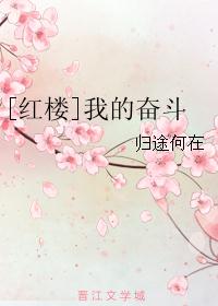 [红楼]我的奋斗