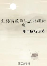 红楼贾赦重生之扑朔迷离