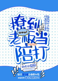 撩到老板当陪打