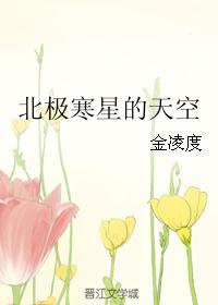 北极寒星的天空