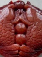 假如再给我一次爱你的机会