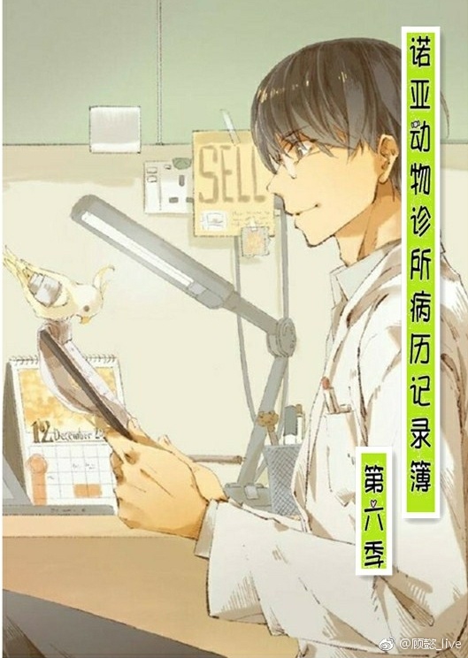 诺亚动物诊所病历记录簿（第六季）