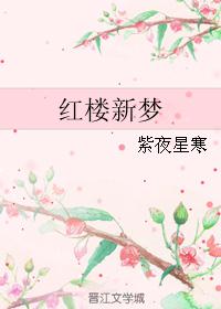 红楼新梦