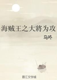 海贼王之大將为攻