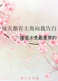 每天都有主角向我告白