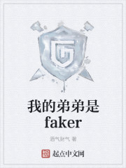 我的弟弟是faker