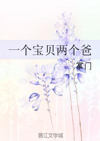 一个宝贝两个爸